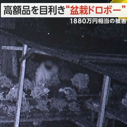 高額品を目利き“盆栽ドロボー”　33点1880万円相当の被害に…盆栽専門店のオーナー「腹が立つ」　熊本・御船町