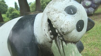 「目つきが悪い」公園に怖～いパンダ？そのワケは…どこか遠い目のサルや珍しい設置物も【新潟発】