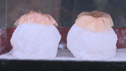 「食用ホオズキ」特産化へ　小学生が地元の菓子店などとコラボ　「だいふく」に「ケーキ」　長野・富士見町