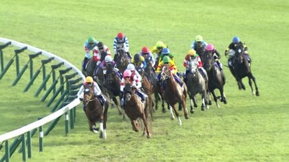 【秋G1開幕戦 スプリンターズステークス】夏の王者岩田望来騎手がピューロマジックを短距離王に導く