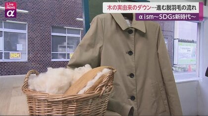 木の実由来で「脱羽毛」　一歩進んだサステイナブルとは