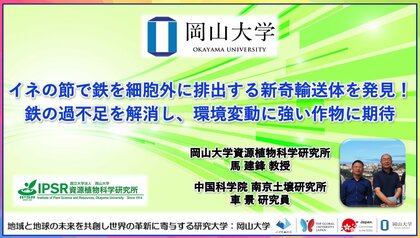 【岡山大学】イネの節で鉄を細胞外に排出する新奇輸送体を発見！鉄の過不足を解消し、環境変動に強い作物に期待