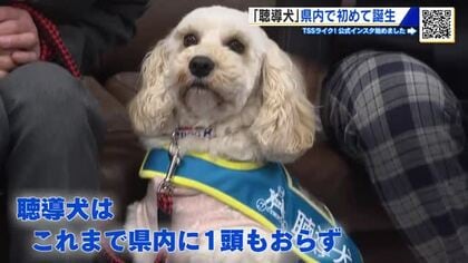 「聴導犬」広島県内で初めて誕生　玄関チャイムや目覚まし時計…日常生活で必要な音を教える役割