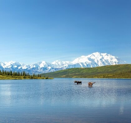 ホーランド・アメリカ・ライン、2025年のアラスカクルーズシーズンを終え──氷河の絶景と地域貢献を振り返る