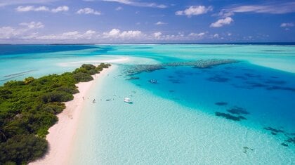 夏は海日和!海について調査!【1000人アンケート】