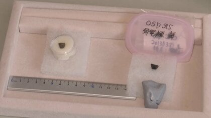 恐竜の歯の化石を新たに発見「角竜類」は東日本初　約9000万年前の地層　岩手県久慈市