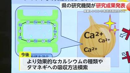タマネギの病気予防や廃棄レンコン有効活用 研究成果を発表【佐賀県】
