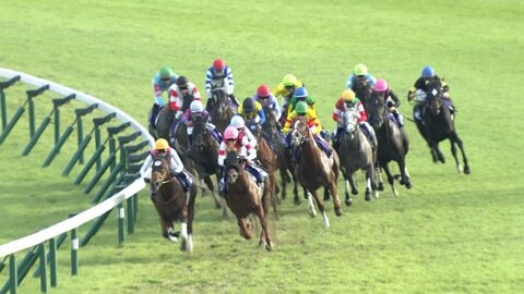 【秋G1開幕戦 スプリンターズステークス】夏の王者岩田望来騎手がピューロマジックを短距離王に導く