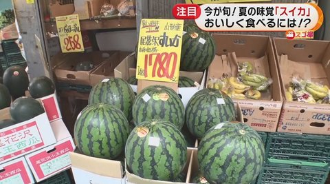 今が旬 夏の味覚 スイカ をおいしく食べるカット方法 味の見分け方とは オレンジ色 極小種の人気品種も