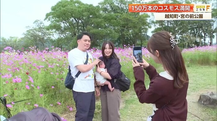 初めてのコスモスに触れる家族の温かいひととき