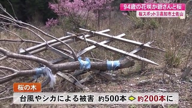 台風やシカの被害で…