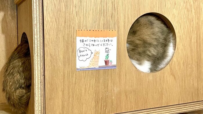 無理やり触るのはNG