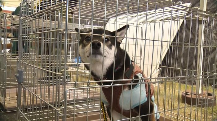 大切な家族 備えを万全に