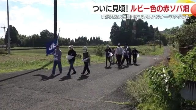 爽やかな秋晴れのもと開催