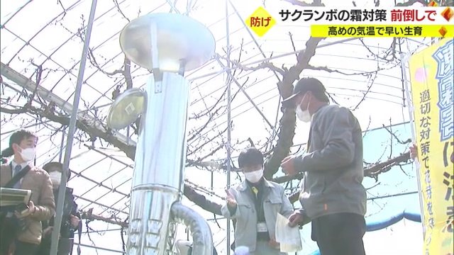 ヒーターで園地を温めることも対策の1つ