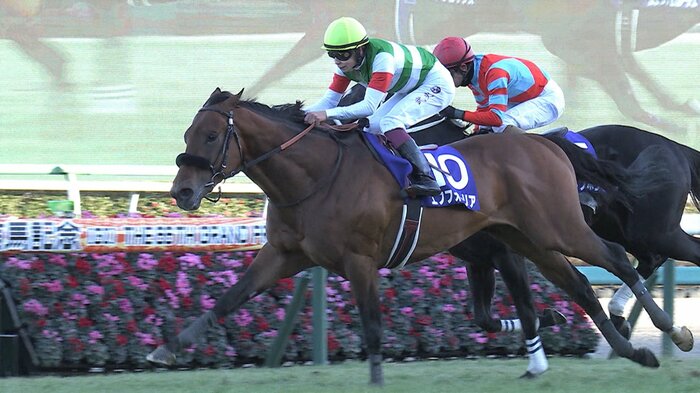 有馬記念、ゴール前のエフフォーリア