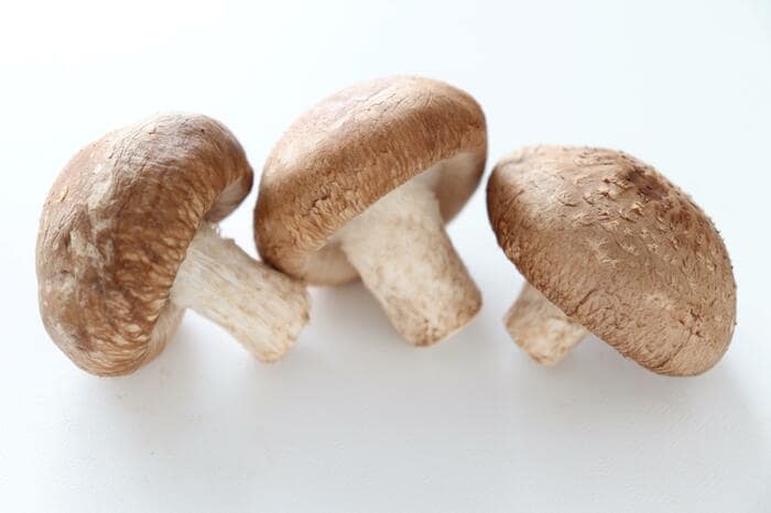 しいたけは日光浴でビタミンDを増やせます