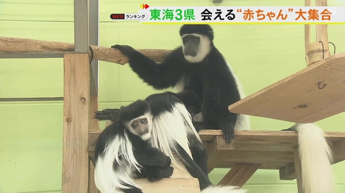 ニュースONE