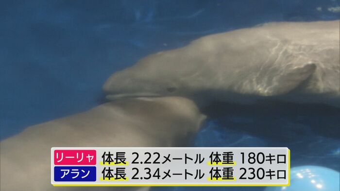 すくすくと成長中