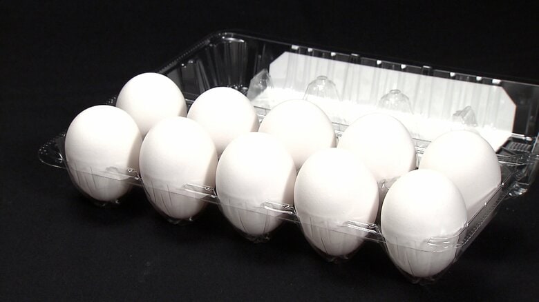 卵1パック309円に　過去最高値を更新　鳥インフルや春の行楽需要で　中東情勢悪化に農水省「すぐに影響出ること考えにくい」｜FNNプライムオンライン