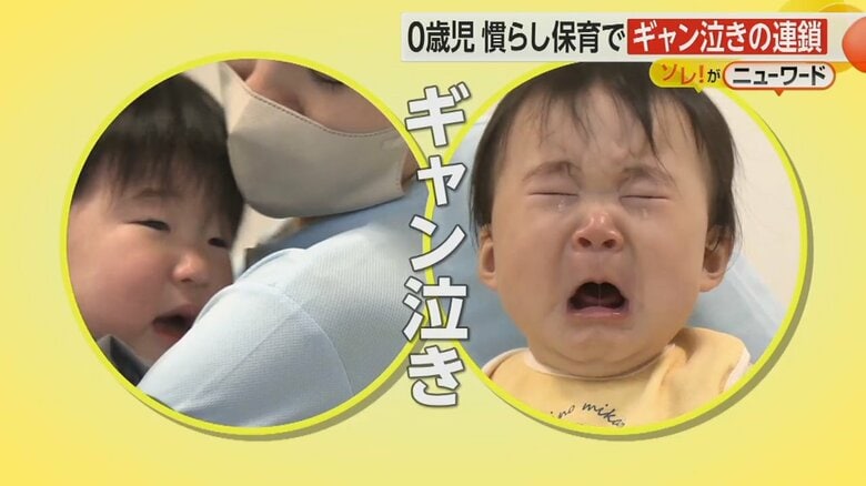 0歳児の「慣らし保育」　赤ちゃんたちの“ギャン泣き”の連鎖　保護者と離れ1時間過ごす　高知市｜FNNプライムオンライン