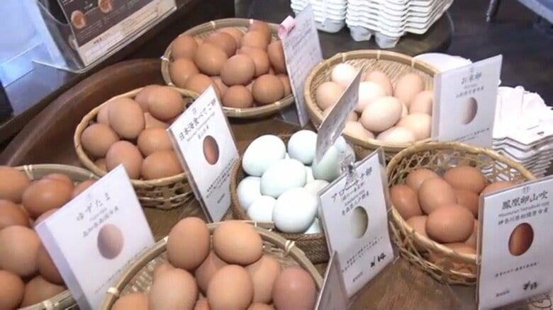 「エッグショック」再来の恐れに不安募る…鳥インフルエンザ急拡大で卵が高騰「値上がりせざるを得ない状況」　農水省「今後の鳥インフルの発生状況による」｜FNNプライムオンライン
