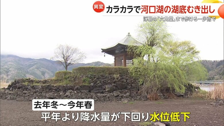 河口湖が湖底むき出し浮島の「六角堂」まで徒歩OK「幻の湖底道」が20年ぶり出現…喜ぶ観光客と頭抱える貸しボート業者　山梨｜FNNプライムオンライン