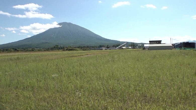 「外国人増加数トップ」ニセコエリアの町に大規模住宅建設計画　町民ら反対署名提出…「時代とともに共存」の声も　北海道・倶知安町｜FNNプライムオンライン