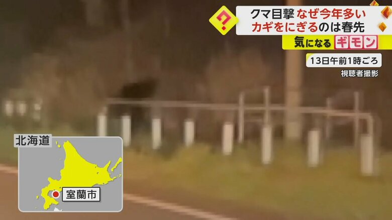 車内カメラに映るクマ
