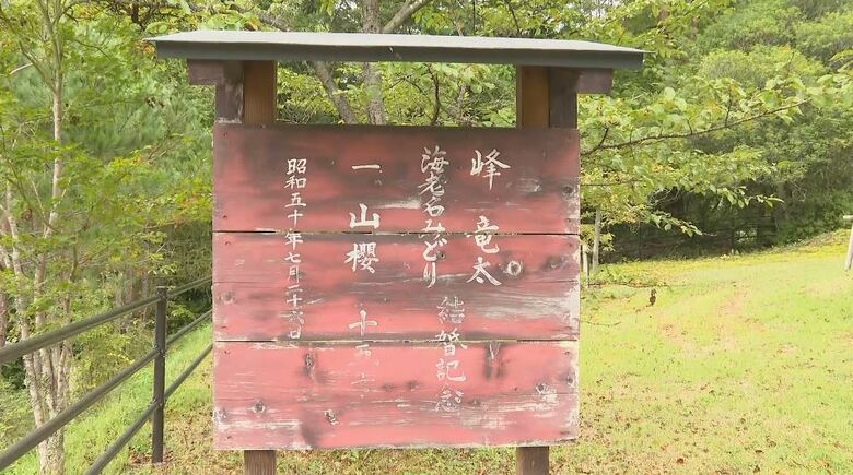 峰竜太さんが結婚式を挙げた神社