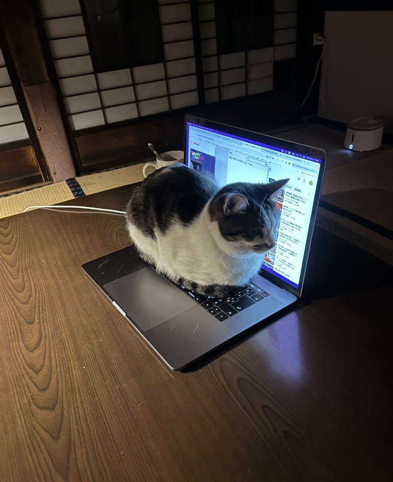 提供：いのうえもんぺさん