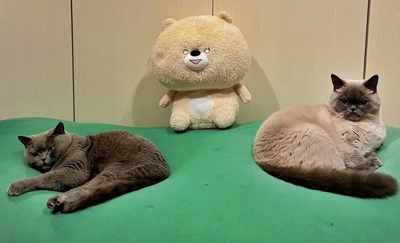 左：おそばちゃん　右：うどんちゃん