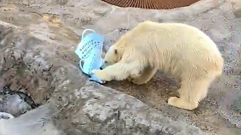 ゆめちゃんの雑巾がけ（その2）あっという間に端っこまで到達