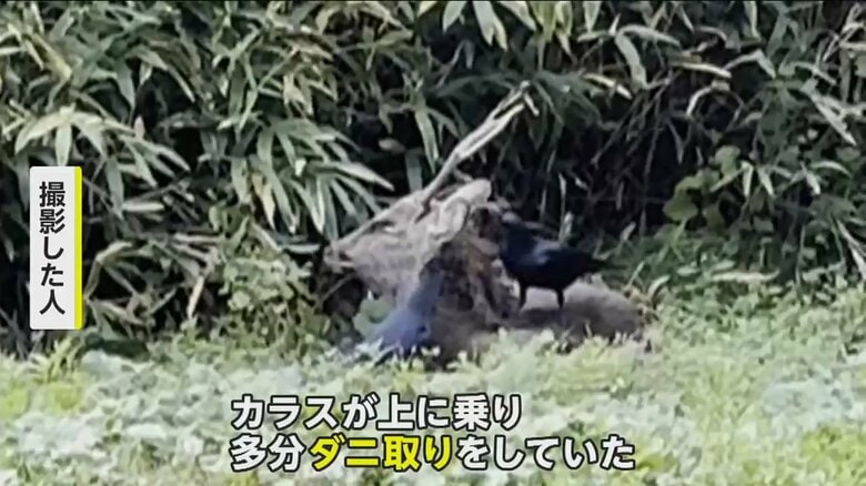 （FNN投稿サイト「ビデオPost」）