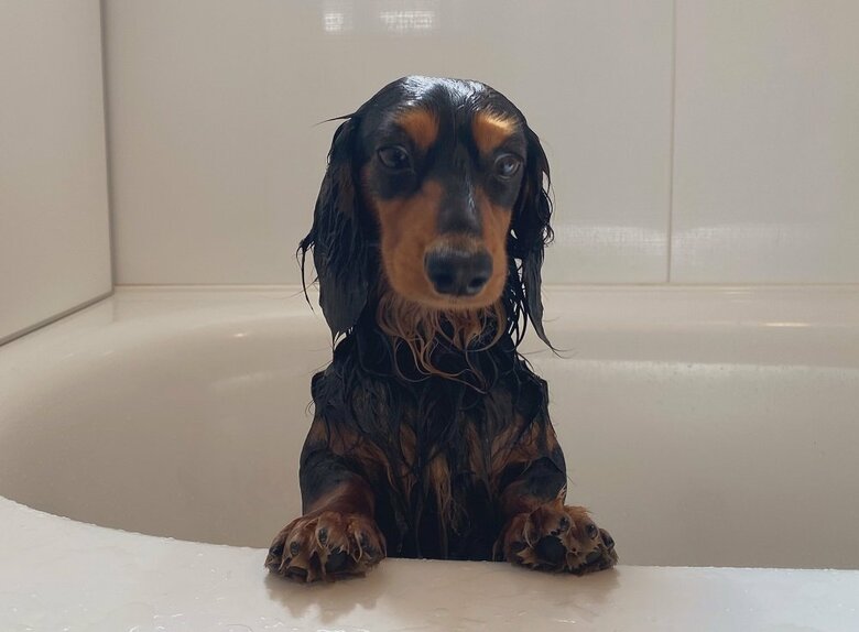 お風呂に入って虚無顔