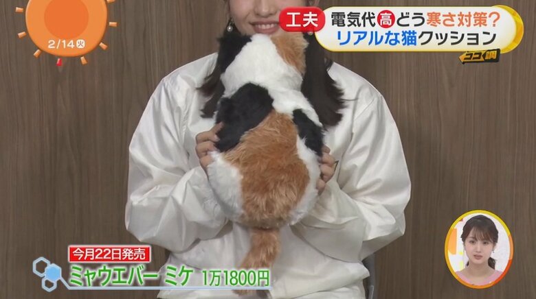動物を抱いて寝るのがうらやましいけどできない…という人に朗報