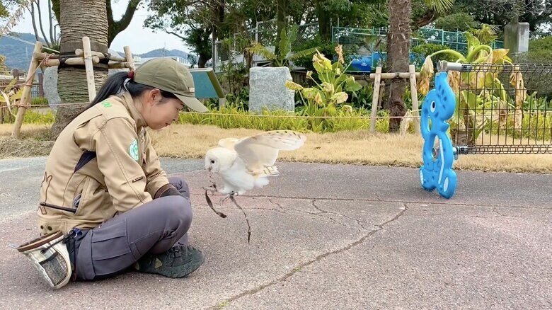 提供：周南市徳山動物園