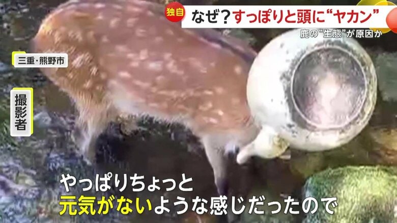 「ちょっと元気がないような感じだったので」と話す猟師を営む男性