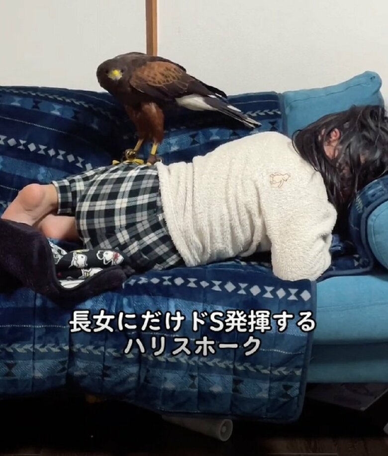 するとキールくんは…