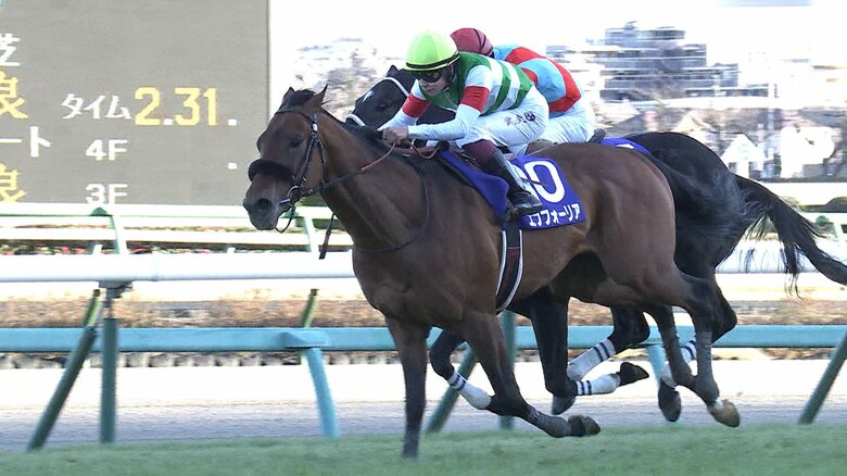 エフフォーリア