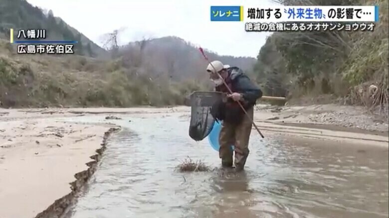 広島市佐伯区の八幡川