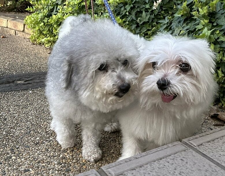 ケンカもするけど仲良し夫婦