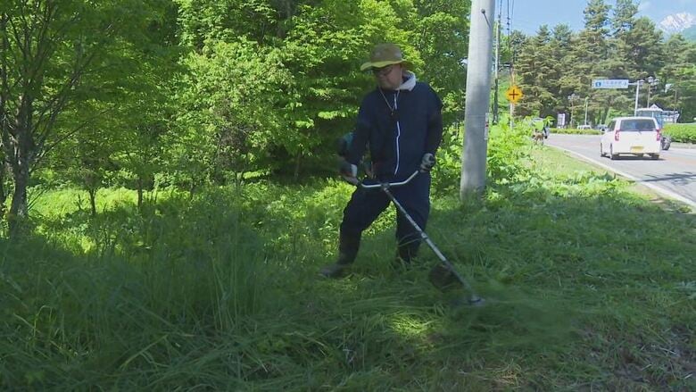 刈払いでクマの隠れる場所をなくす