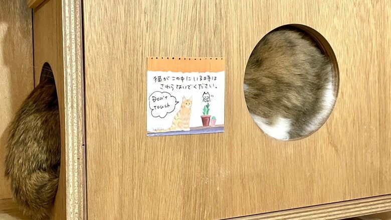 無理やり触るのはNG