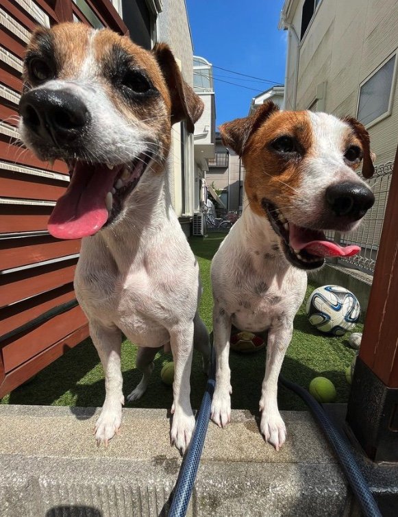 提供：あずもなさん