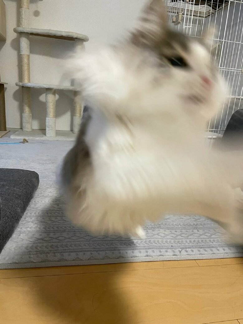 好奇心旺盛だというララちゃん