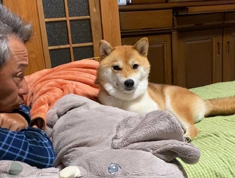 むぎちゃんを見つめるお父さん