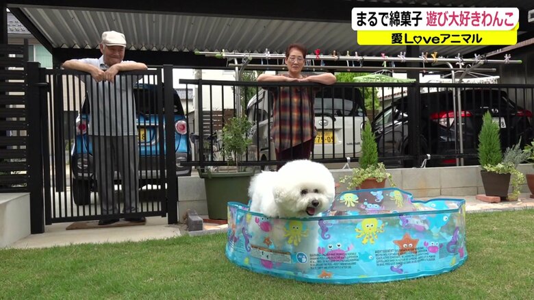 （どうすればいいの…）