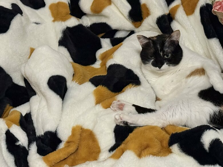 顔の位置はかろうじて分かるが…