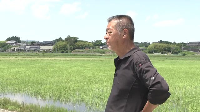 農業法人「紅梅夢ファーム」代表・佐藤良一さん（71）